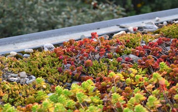 the cost of Pilley green roof installation