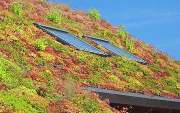 Pilley living roof systems